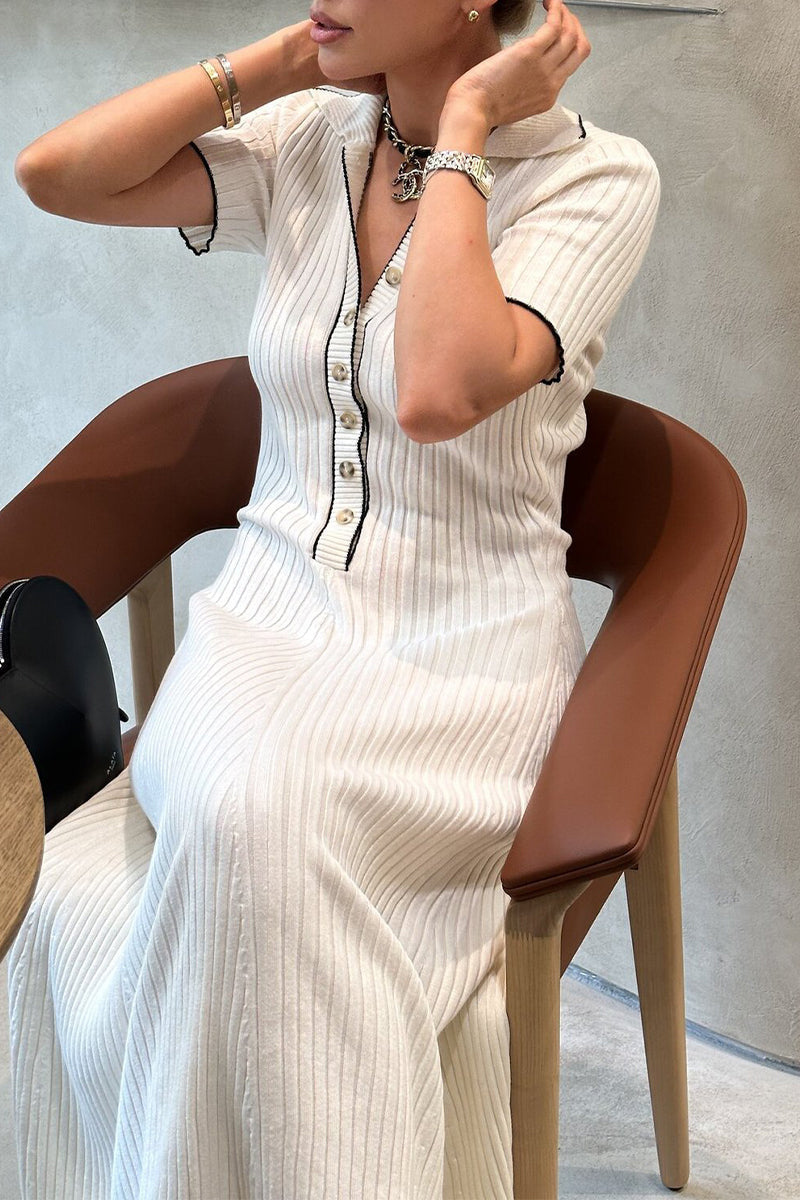 Sophisticated Dress with a Clean Classic Look