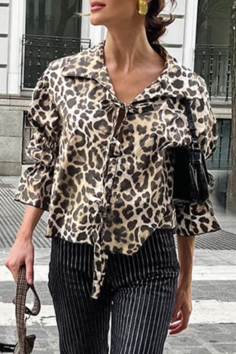 Sophisticated Blouse with a Clean Classic Look