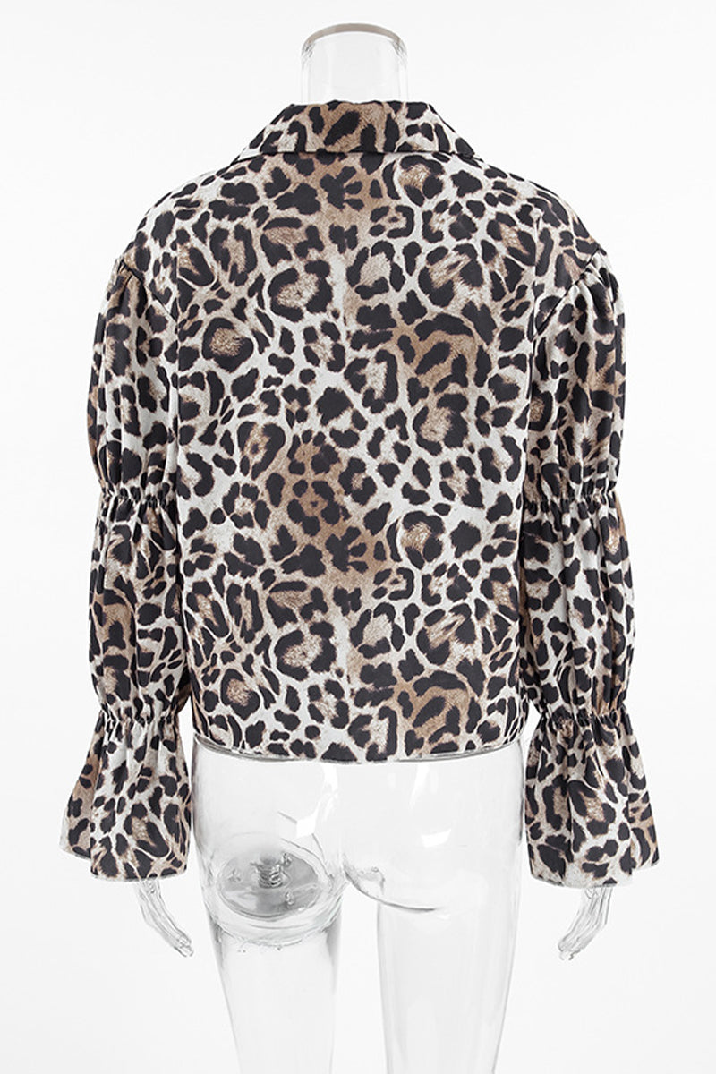Sophisticated Blouse with a Clean Classic Look
