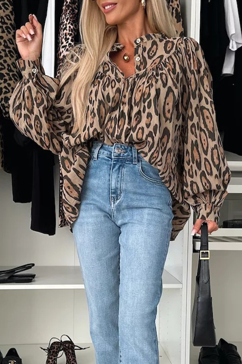 Gracefully Styled Blouse for Any Occasion