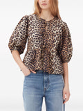 leopard