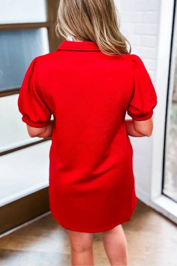 Gracefully Styled Dress for Any Occasion