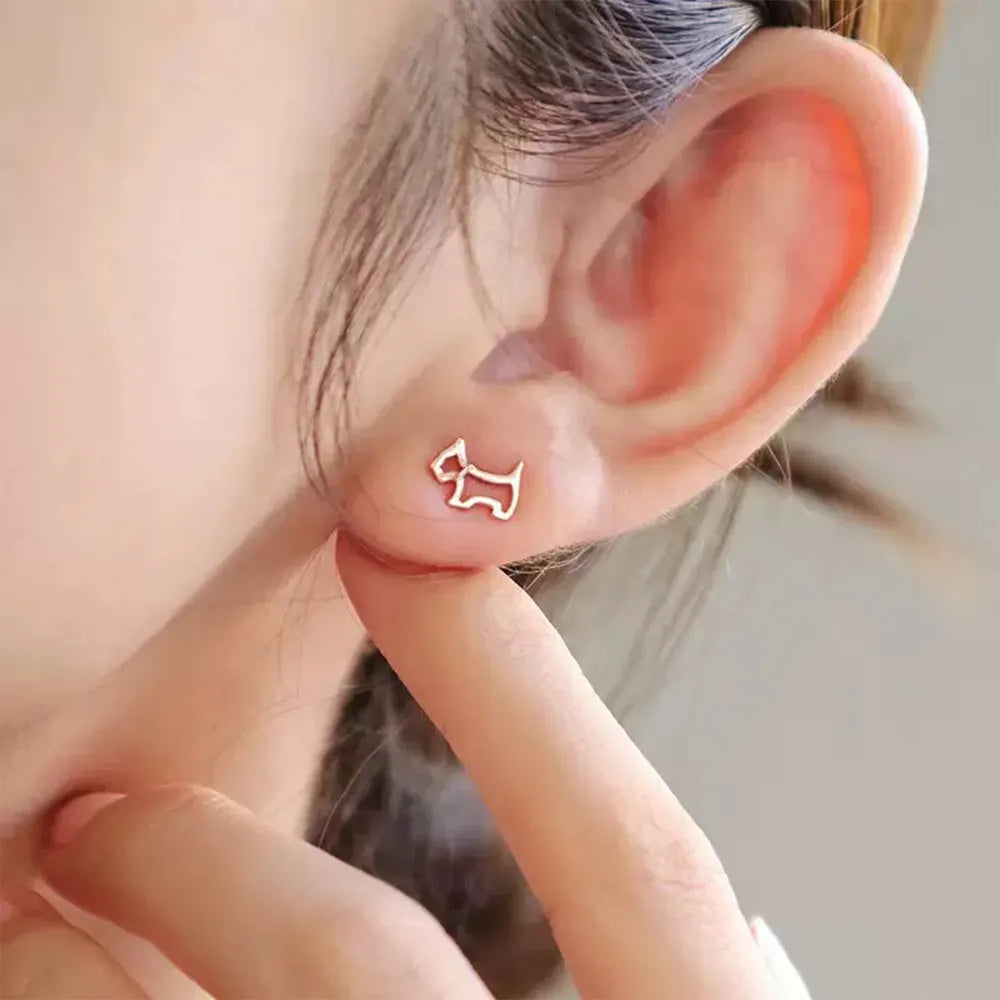 Beautiful Earring with Unique Style