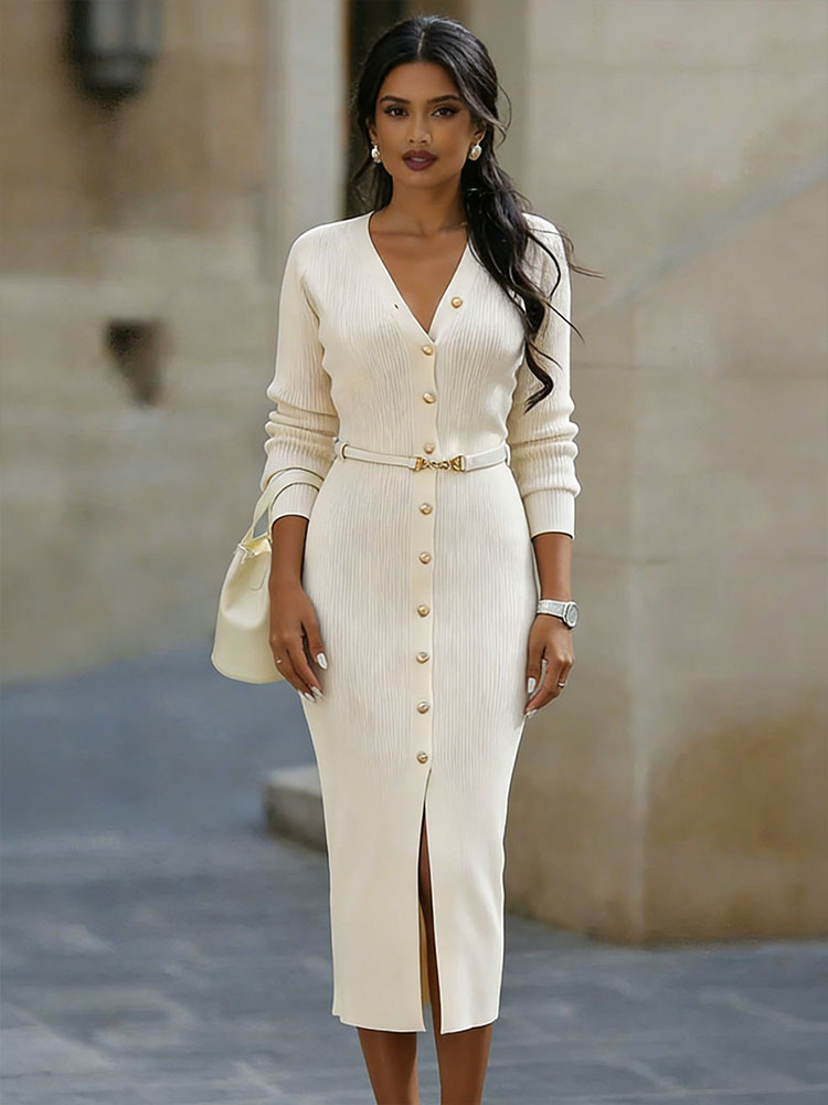 Classic Designed Dress