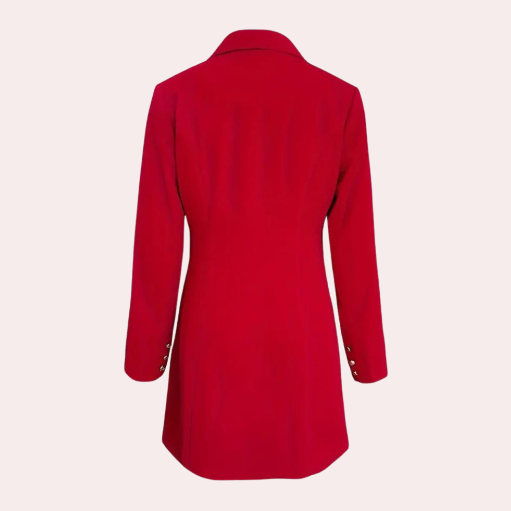 Well Tailored Dress with a Graceful Silhouette