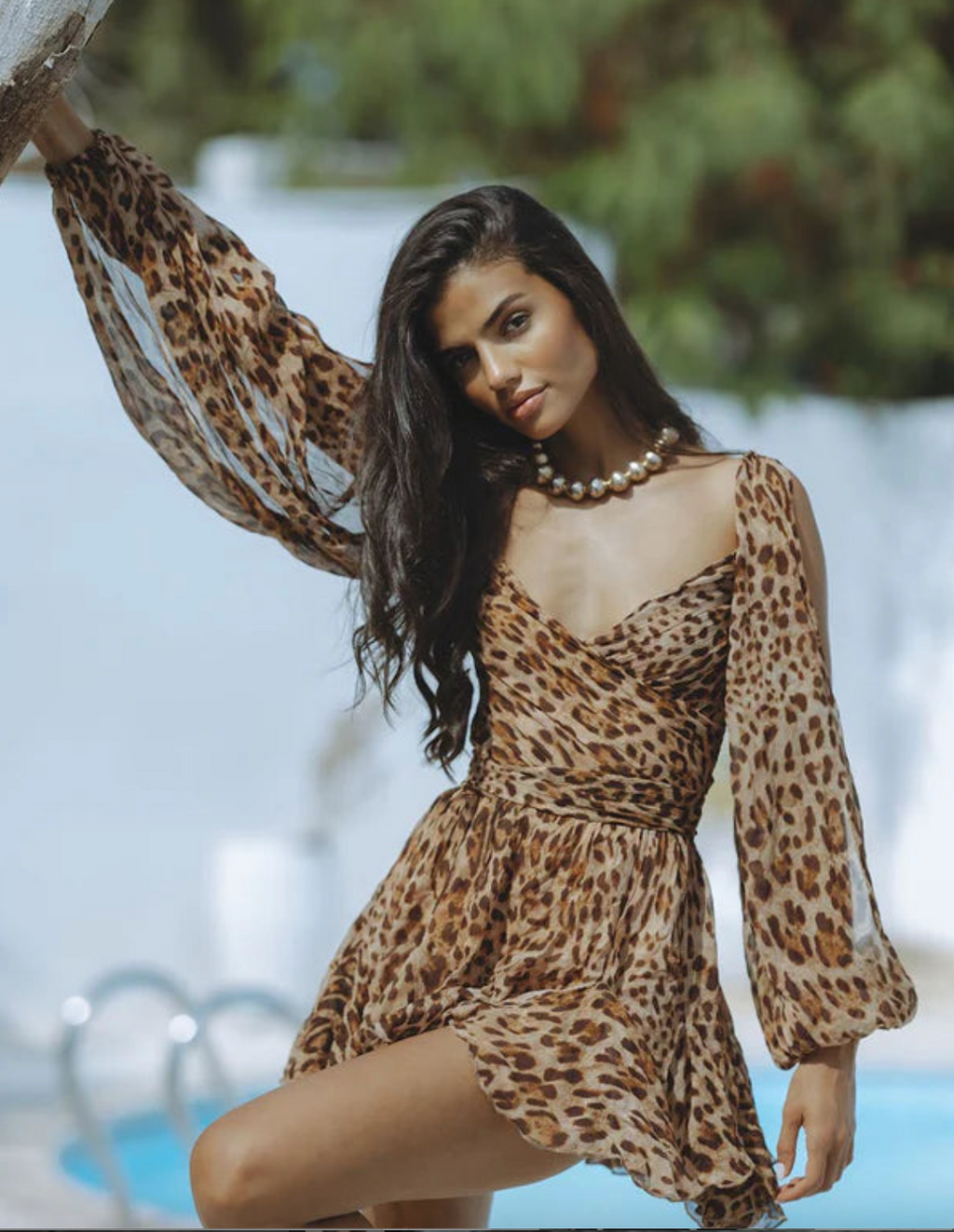 leopard
