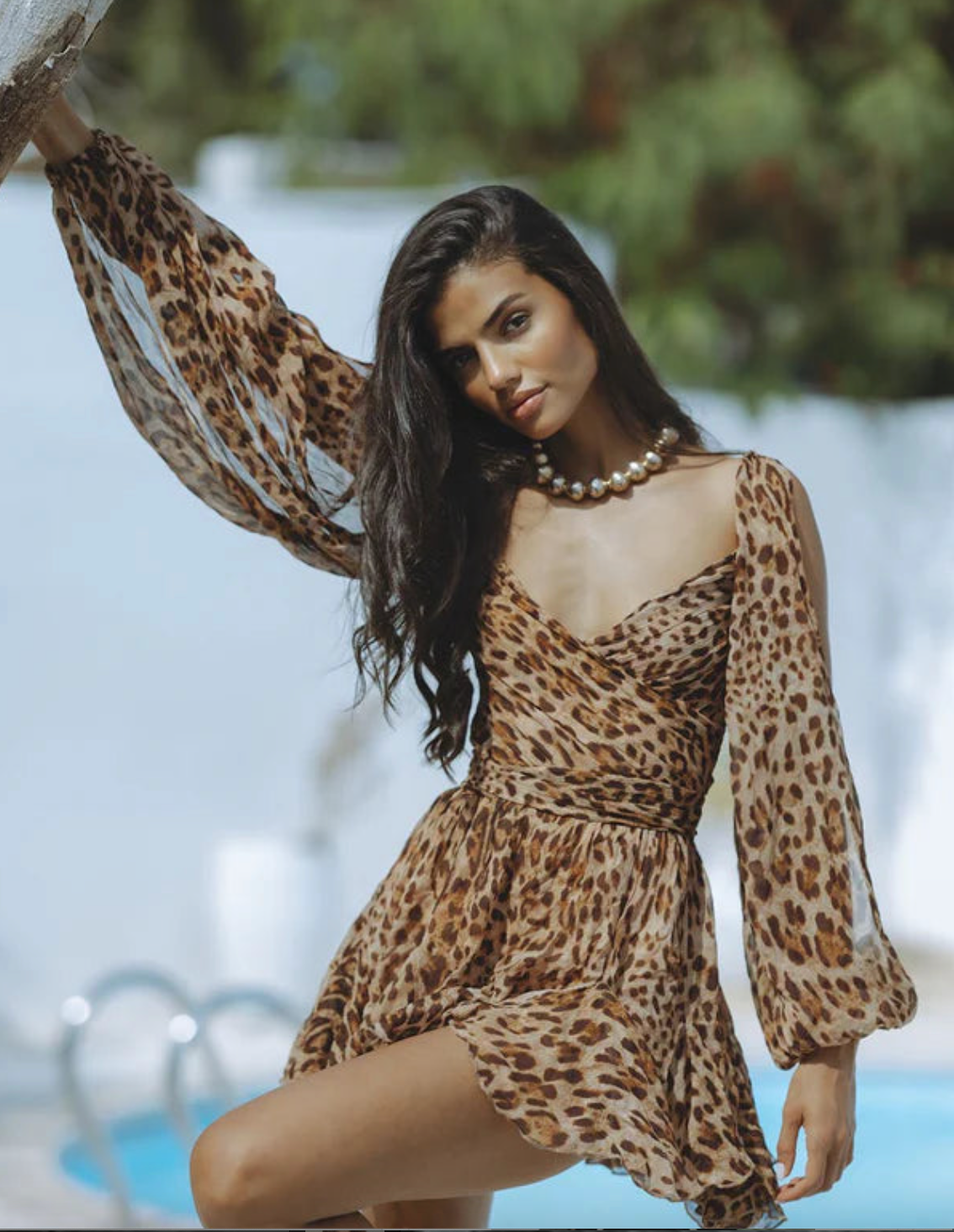 leopard