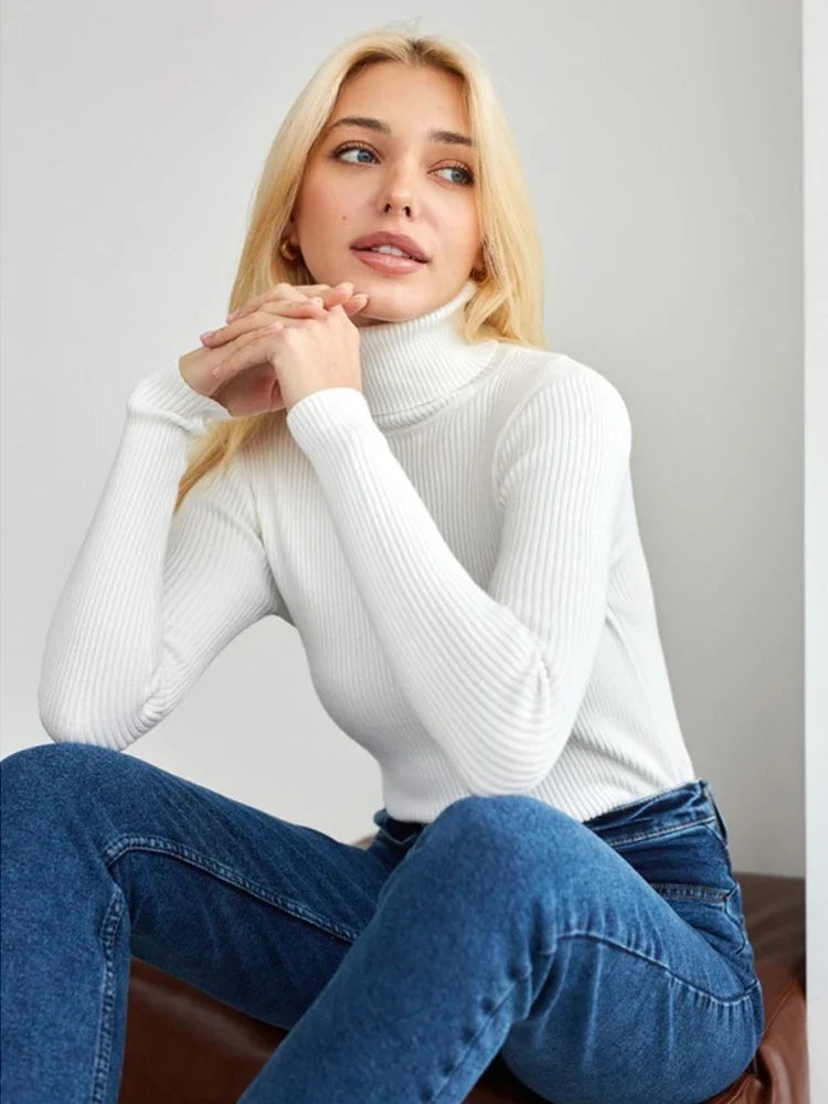 Classic Designed Sweater