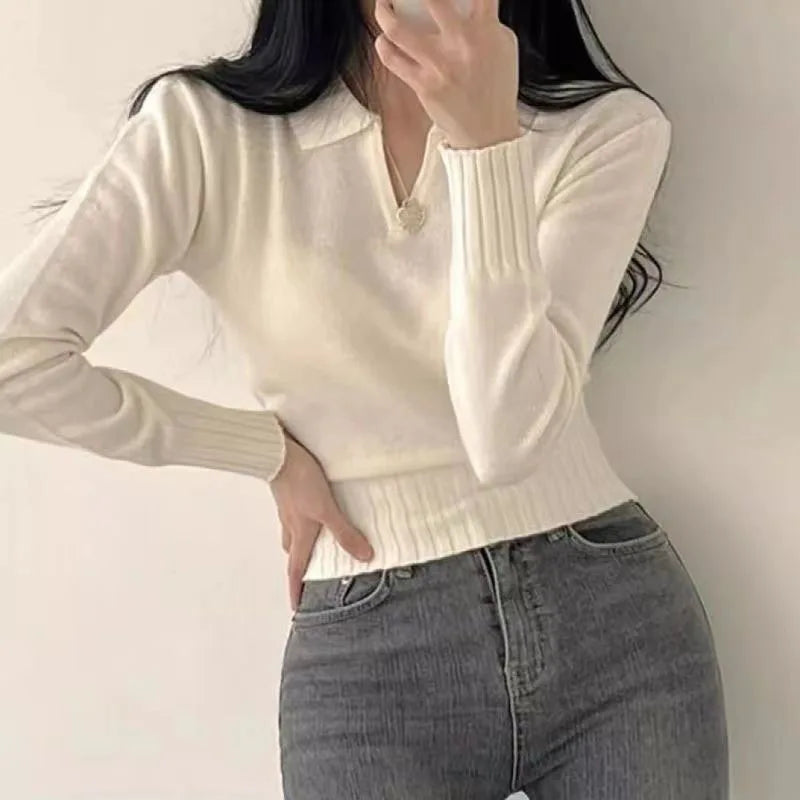 Elegantly Designed Sweater