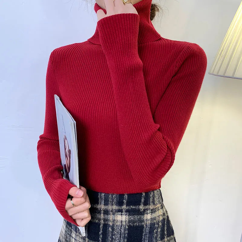 Classic Designed Sweater