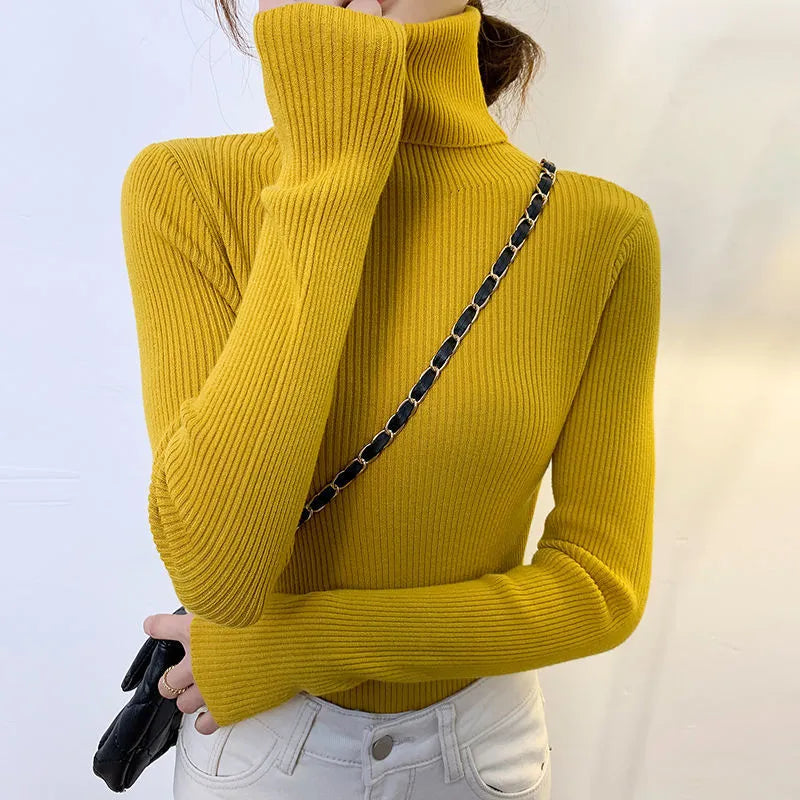 Classic Designed Sweater