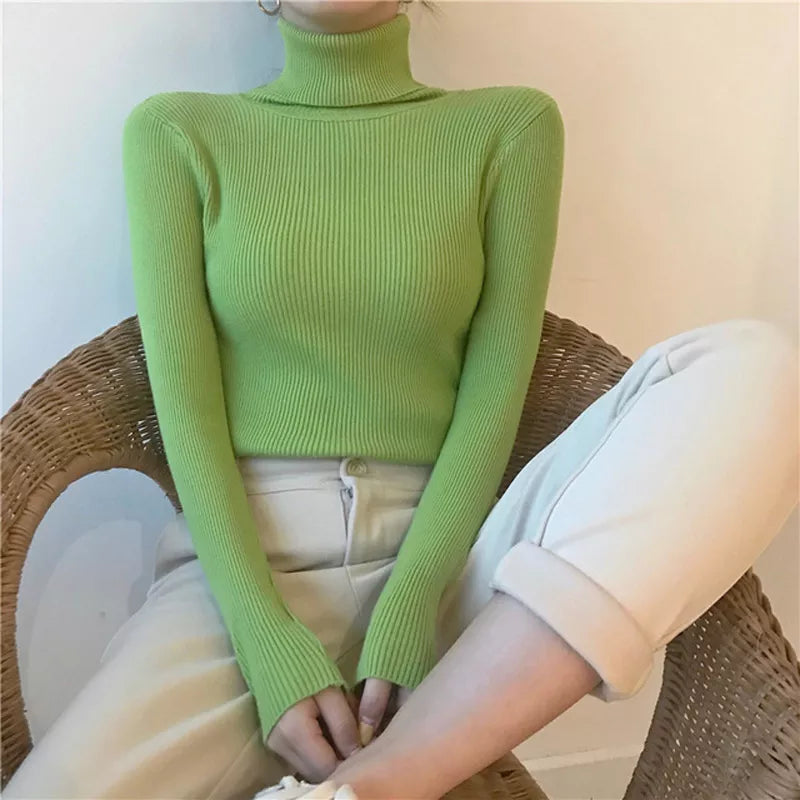 Classic Designed Sweater