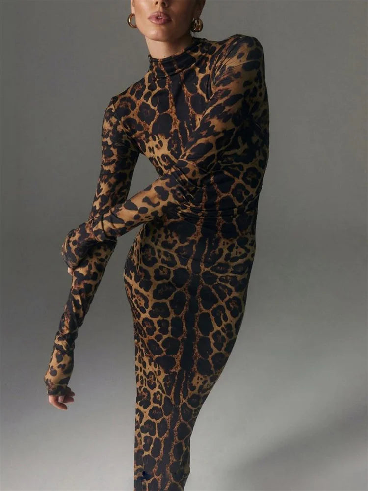 leopard