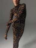 leopard