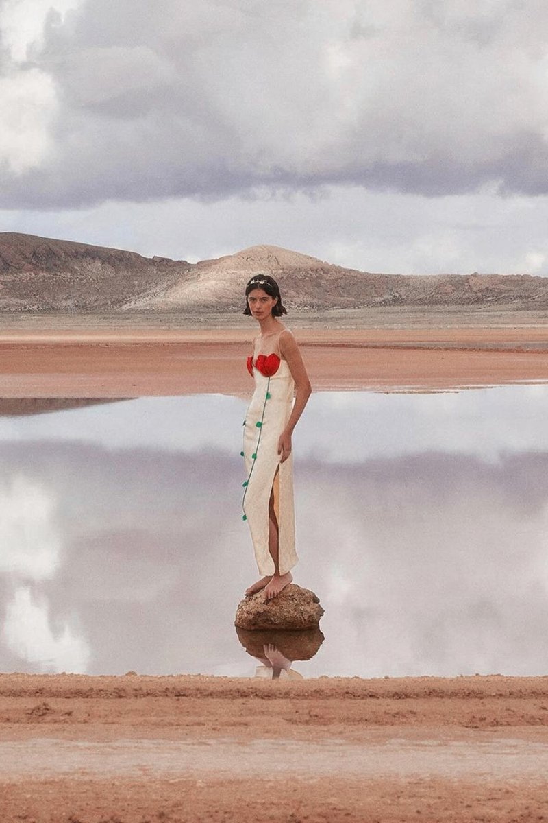 Beautifully Balanced Dress with Timeless Character