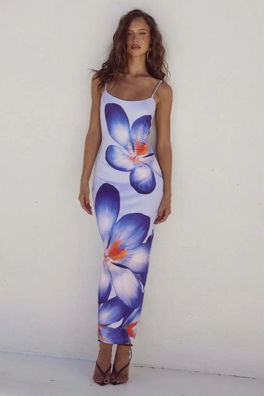 Viola