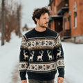 Christmas Reindeer & Snowflake Pattern Men's Icelandic Sweater artswardrobe