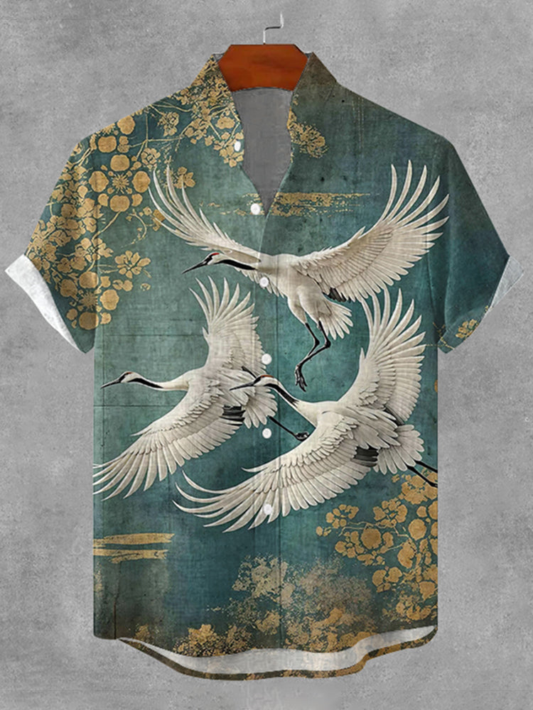Elegantly Designed Shirt