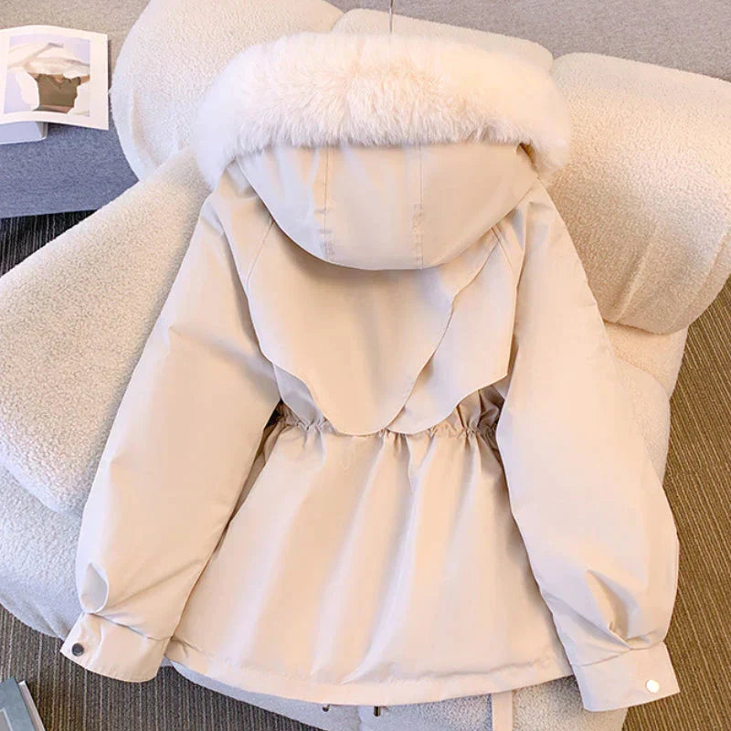 Gracefully Designed Jacket