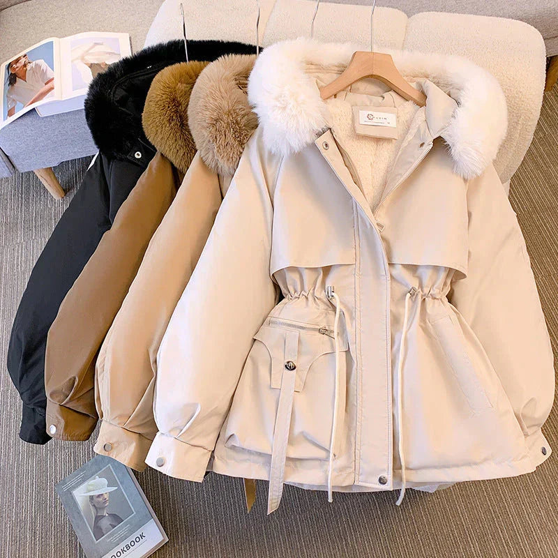 Gracefully Designed Jacket