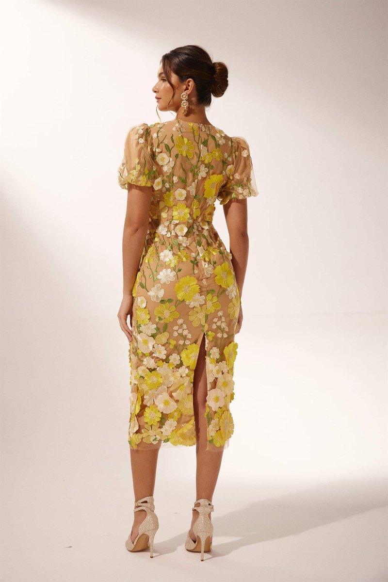 Beautifully Finished Dress in a Timeless Design